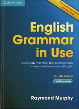 english grammar in use a self study reference and practice