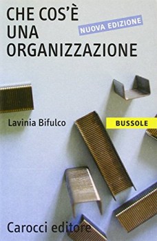 che cos\' una organizzazione