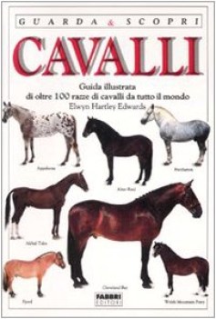 cavalli