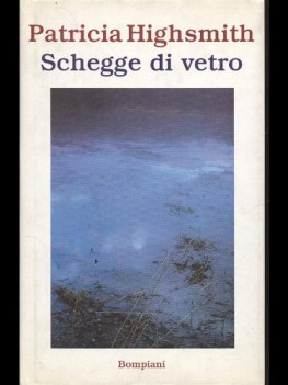 schegge di vetro