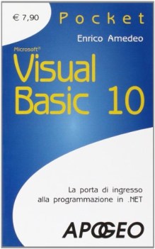 visual basic 10