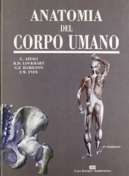 anatomia del corpo umano