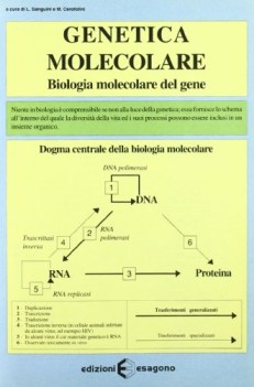 genetica molecolare, schede