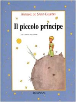 piccolo principe con disegni