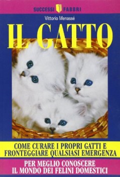 gatto