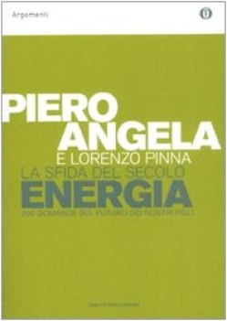 sfida del secolo energia economico