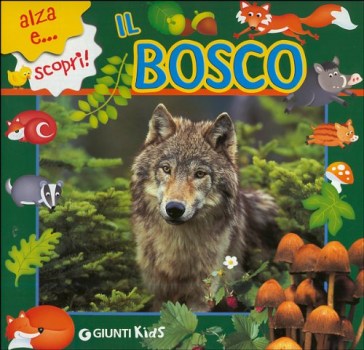 bosco