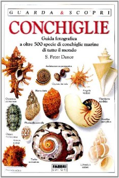 conchiglie