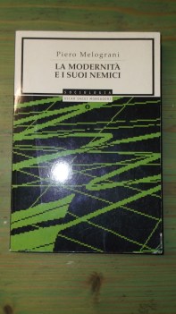 modernita e i suoi nemici (fuori catalogo)