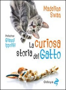 curiosa storia del gatto