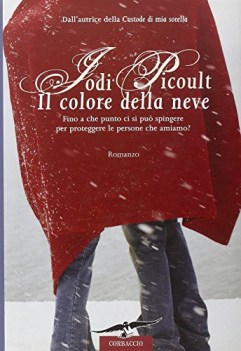 colore della neve