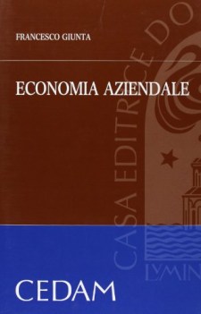 economia aziendale ne08