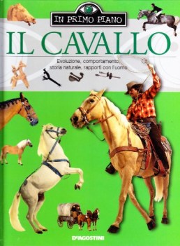 cavallo