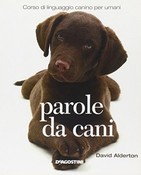 parole da cani