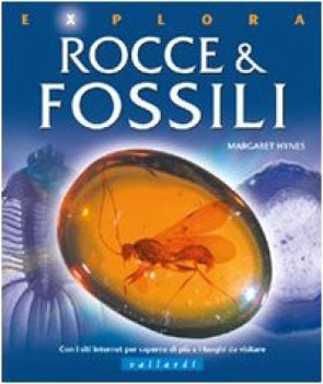 rocce e fossili