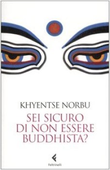 sei sicuro di non essere buddhista?