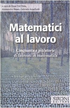 matematici al lavoro 50 e pi storie di laureati in matematica