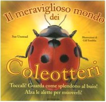 meraviglioso mondo dei coleotteri