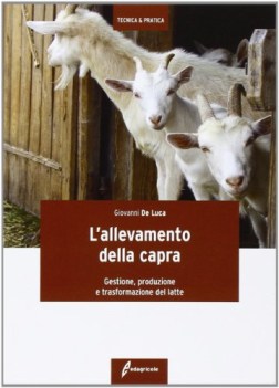 allevamento della capra