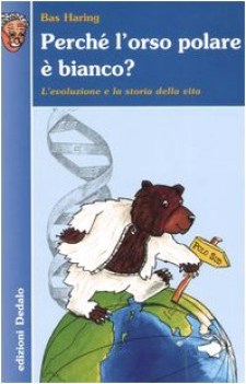 perch l\'orso polare  bianco?