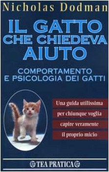 gatto che chiedeva aiuto