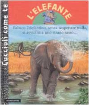 elefante