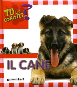 tu lo conosci il cane?