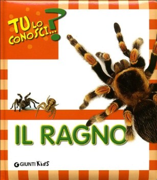 ragno