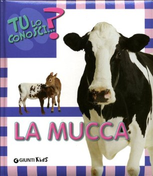 mucca