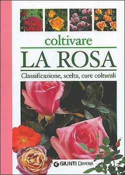 coltivare la rosa