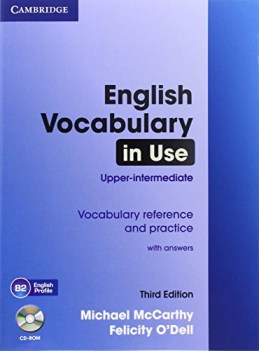 english vocabulary in use 3rd ed. upper intermediate