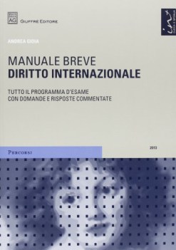 Diritto internazionale. Manuale breve ed. 2013