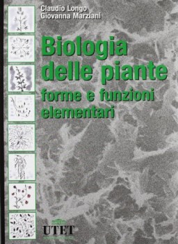 BIOLOGIA DELLE PIANTE FORME E FUNZIONI ELEMTARI III ED