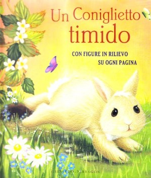 coniglietto timido