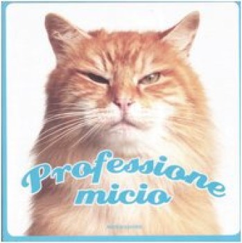 professione micio