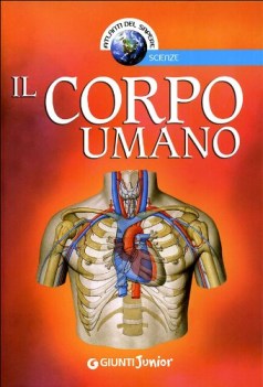 corpo umano