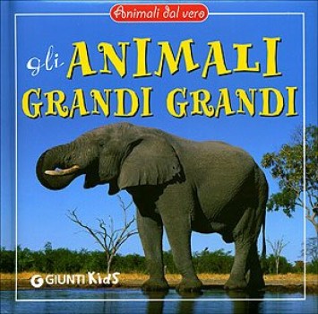 animali grandi grandi