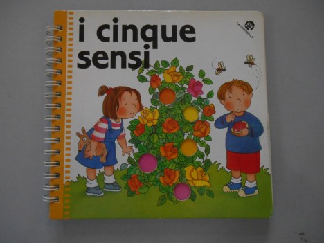 cinque sensi