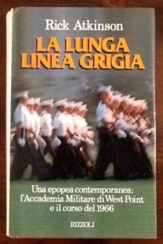 lunga linea grigia