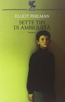 sette tipi di ambiguit