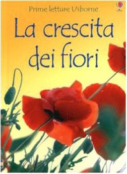 crescita dei fiori