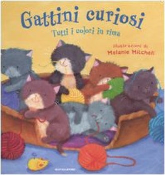 gattini curiosi tutti i colori