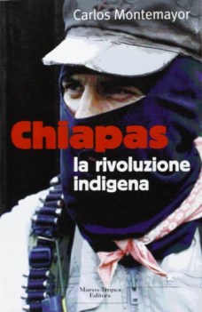 chiapas la rivoluzione indigena