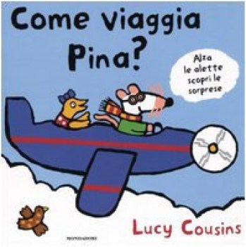 come viaggia pina?