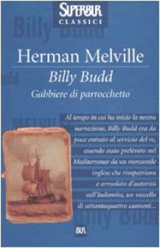 billy budd gabbiere di parrocchetto