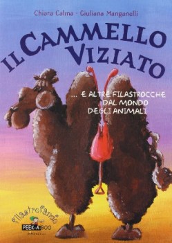 cammello viziato