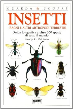 insetti ragni e altri antropodi terrestri