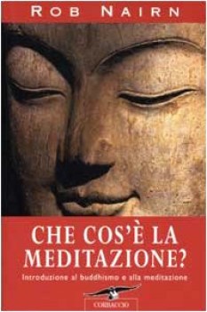 che cos\'e la meditazione