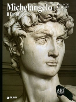 michelangelo. il david art dossier numero 202