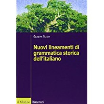 nuovi lineamenti di grammatica storica dell\'italiano